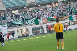 Iiri fännid lisasid mängule värvi. Foto: Hendrik Osula