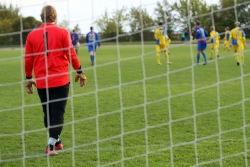 Paide mängijad põrkasid põdraga kokku