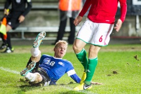 Foto: Hendrik Osula