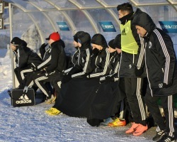 Kalju pink, Prins otsal mängu jälgimas. Foto: Brit Maria Tael