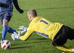 Koppel tööülesandeid täitmas. Foto: Sergei Stepanov