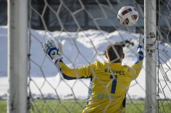 Tammeka loodab Kaljut üllatada