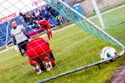 Jäädvustus mullu sügisest. Foto: Gertrud Alatare
